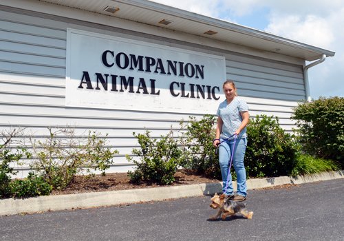 Companion Animal Clinic Entrance