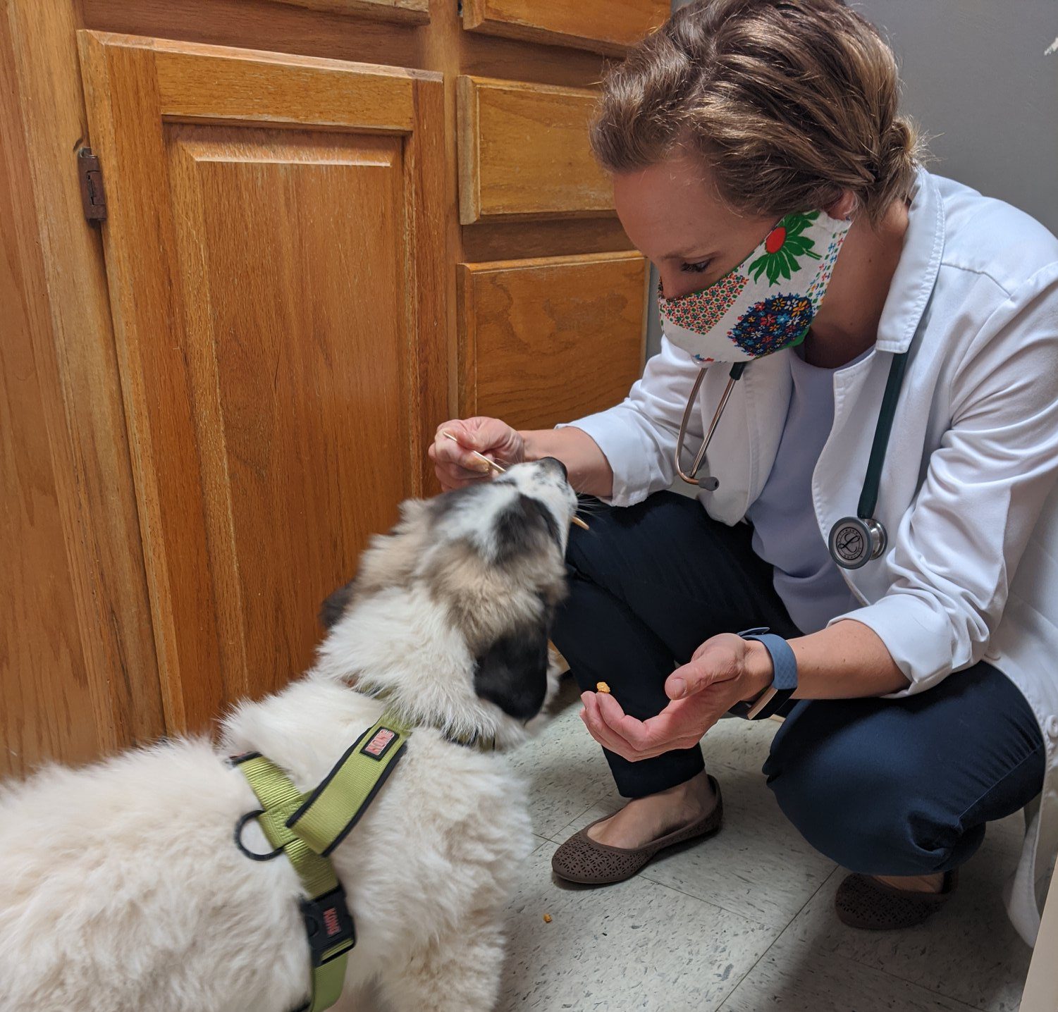 Dr Beckner giving a dog a treat