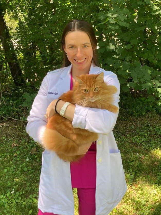 Dr Katie Walsh holding a cat