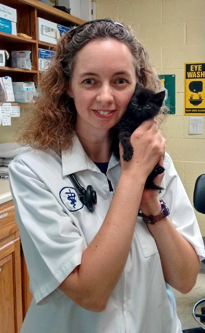 Dr. DeRosa is an Expert Veterinarian Dr. Angie DeRosa caring for a kitten